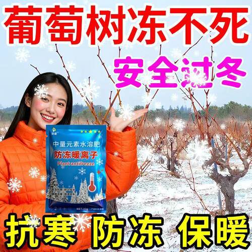 葡萄树防冻剂抗寒抗冻修复低温促长抗冻防寒保护果树不冻伤耐寒抗