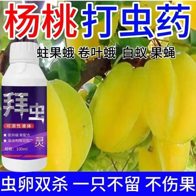 杨桃高产杀虫剂卵边打边