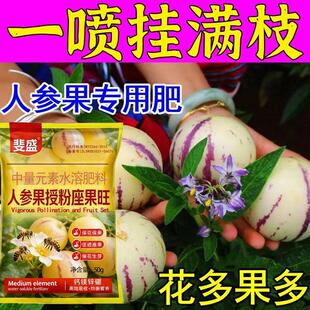 人参果专用增果灵治不开花不结果保花保果防落防畸增产增甜叶面肥