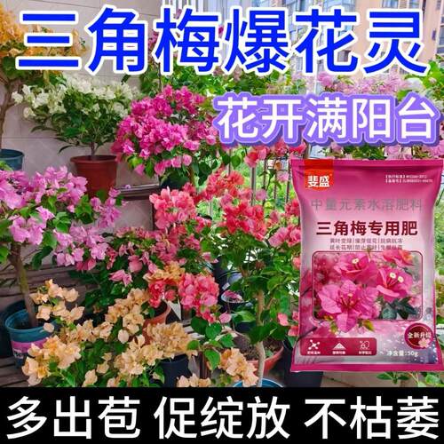 【花开爆盆】三角梅营养专用肥家用盆栽花肥四季开花催芽促花高效