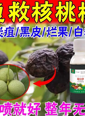 核桃树专用药黑皮褐斑白粉腐烂病烂果黑水病通用杀菌剂核桃病全治
