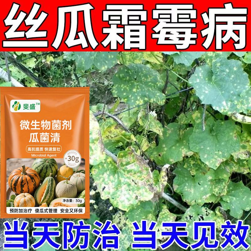 丝瓜病全治专用药杀菌剂
