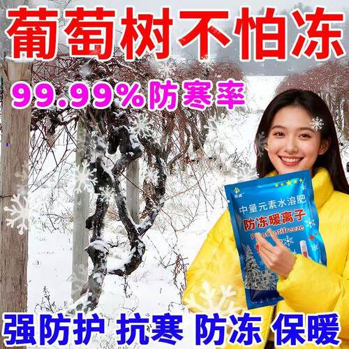 葡萄树防冻剂抗寒抗冻修复低温促长抗冻防寒保护果树不冻伤耐寒抗