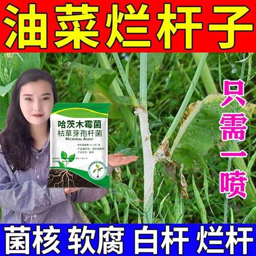 油菜专用药油菜白杆烂杆菌核病霜霉病根肿病白粉灰霉病油菜杀菌剂