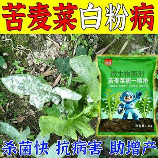 苦麦菜白斑病药苦麦菜专用生菜病专用叶菜类病专用软腐土壤杀菌剂