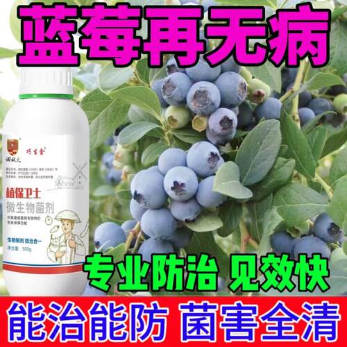 蓝莓病全治蓝莓专用杀菌剂叶枯病僵果病病毒病白粉病橘子病全管