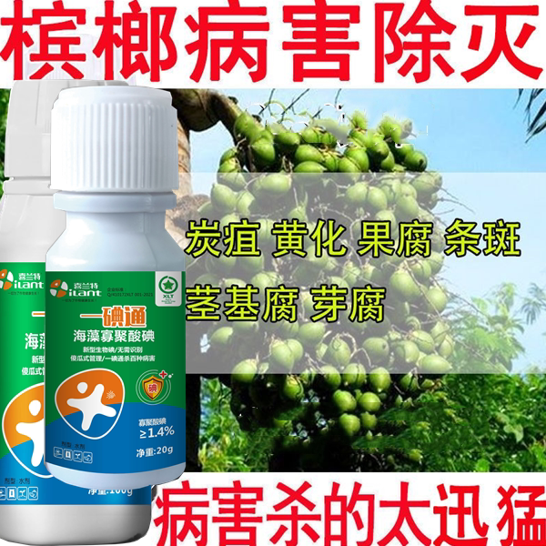 槟榔病全治黄叶病根腐病芽腐病炭疽病叶斑病专用杀菌剂农药微生物