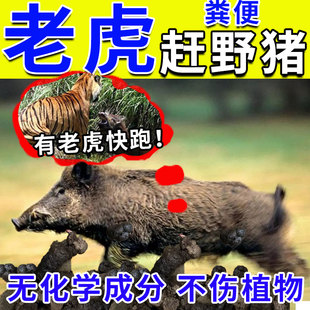 老虎气味驱赶野兽神器防野猪农田果园玉米地吓赶猪专用驱獾猪安全