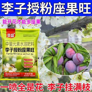 李子树催花授粉座果灵李子专用授粉药免沾花防落果保花保果叶面肥