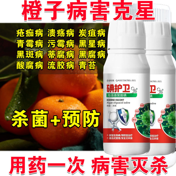 橙子杀菌剂病全治生物肥