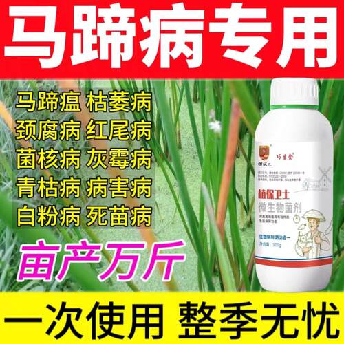 马蹄杀菌剂病害全杀荸荠病全治马蹄瘟荸荠干枯病枯萎病茎基腐