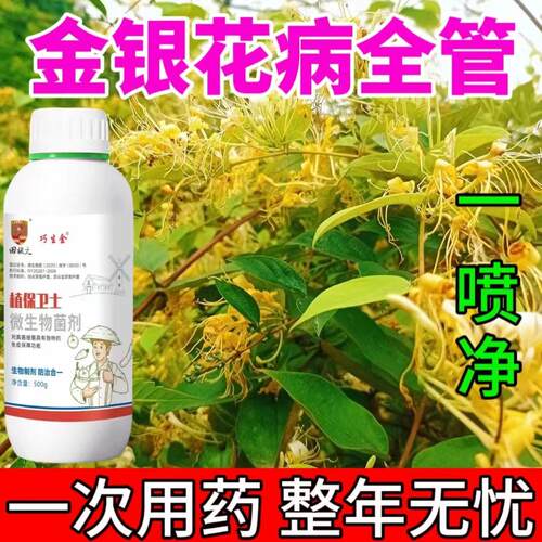 金银花褐斑病黄叶落叶病专用菌剂金银花病全治白绢病白粉病根腐病