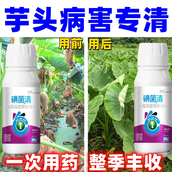 芋头杀菌剂芋头病全管枯萎灰斑疫病污斑病叶枯病病毒病炭疽软腐