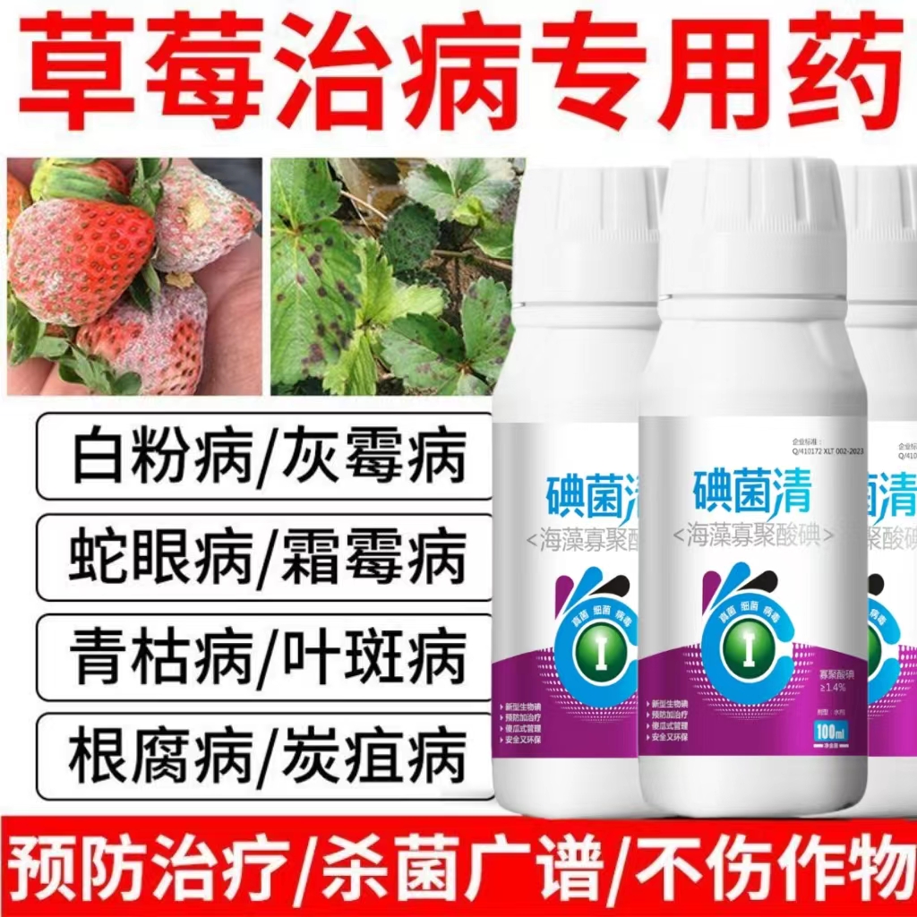 草莓病全治草莓黑斑病根腐病褐斑病草莓斑点病草莓病专用药病套