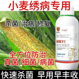 小麦病全治小麦杀菌剂纹枯病白粉病锈病赤霉病全蚀病根腐病黑穗病