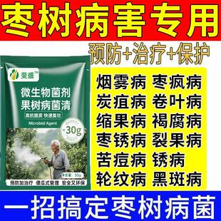 枣树病全治黄化黄叶掉叶卷叶枣树疯病小叶枣疯病叶斑病炭疽专用药