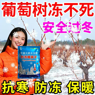 葡萄树防冻剂抗寒抗冻修复低温促长抗冻防寒保护果树不冻伤耐寒抗