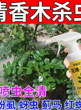 清香木杀虫剂胡椒驱虫除虫长虫蚜虫打虫药生盘栽青香虫害树治虫药