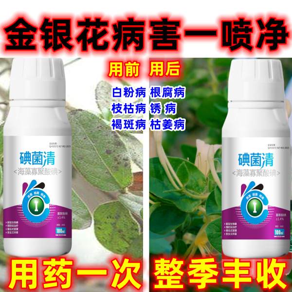 金银花杀菌药褐斑病枯萎