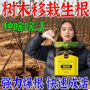 果树移栽生根粉快速生根发根树木扦插嫁接移栽专用激活液促根壮棵