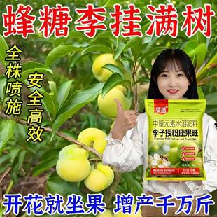 李子授粉座果精李子树授粉专用药催花授粉强座果李子树保花保果素