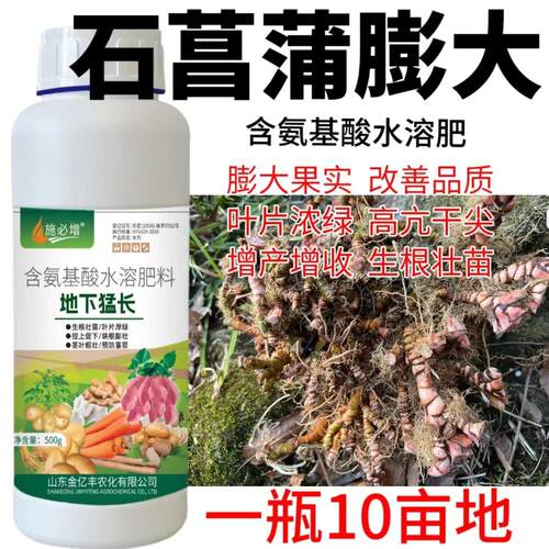 石菖蒲专用肥石菖蒲膨大剂膨大增产专用石菖蒲膨大叶面肥膨大素
