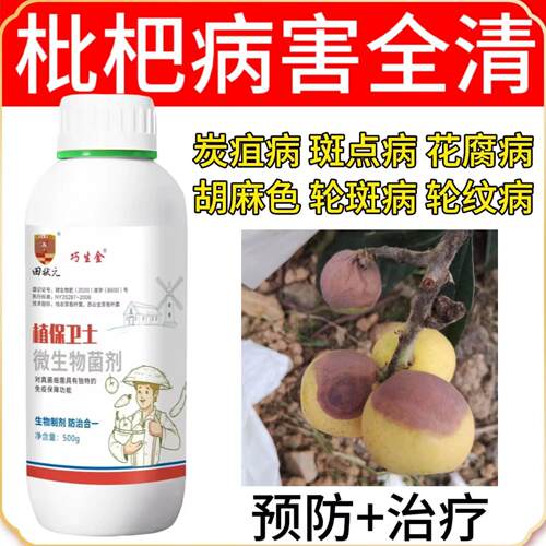 枇杷病全治枇杷树杀菌剂斑点黄叶病叶斑病干腐病花腐病炭疽专用药