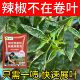辣椒病毒病专用药卷叶病药黄叶炭疽病杀菌剂病毒克星辣椒病全治