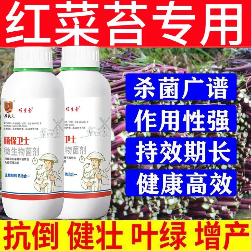 红菜苔菜心霜霉病软腐病腐烂发臭烂根烂叶根腐病黑腐病专用杀菌剂