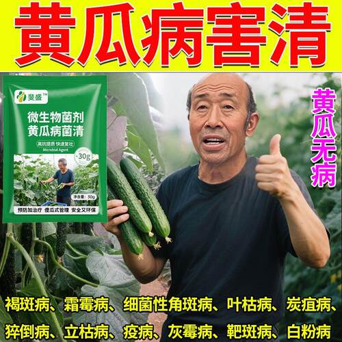 黄瓜专用药黄瓜病全治角斑病斑点病靶斑病灰霉病霜霉病黄瓜杀菌剂