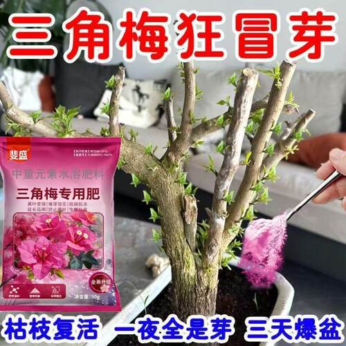 三角梅开花专用肥盆栽花肥料促花爆花枝繁叶茂花肥家用新型肥