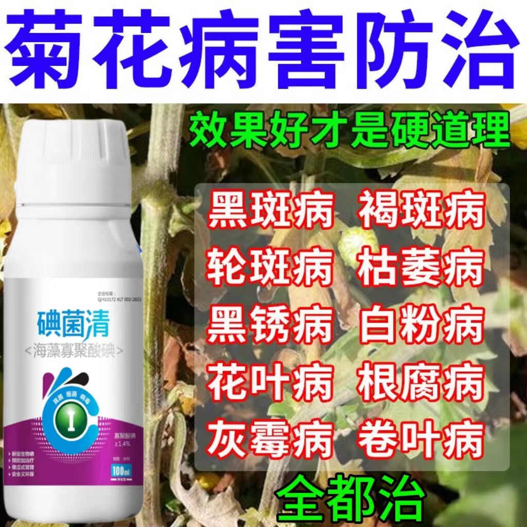 菊花专用杀菌剂菊花病全治菊花锈病黑斑病褐斑病菊花杀菌剂