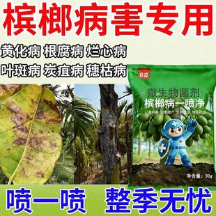 槟榔病细菌性条斑烂心药黄化病炭疽褐根芽腐果腐病专用杀菌剂