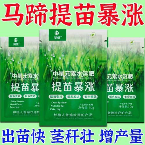 马蹄提苗暴长马蹄生根剂生根液促进生根死苗猝倒黄苗专用增产肥料