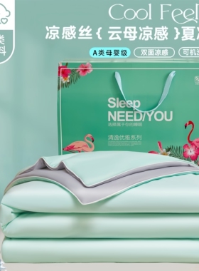 公司活动礼品冰丝夏凉空调被回礼节日礼品夏被可水洗被子定制LOGO