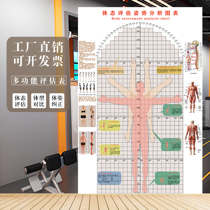 柔韧性测试多功能体态评估表健身房私教人体姿态图墙贴体测表壁画