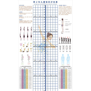 青少年体态评估表儿童体适能舞蹈艺术培训模特体测表身体评估墙贴