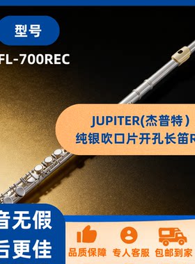 杰普特镀银C尾开孔长笛700RE