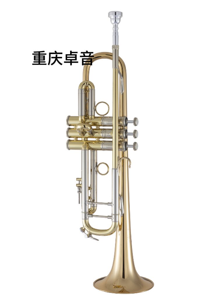 BACH  巴哈 专业级 小号19037/ 19043/ 19072X/190L65GV/190S37