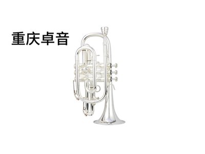 AMATI阿玛提 CIassic系列 短号ACR-300S