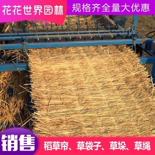草苫 稻草帘子草帘子 稻草大棚 保温蔬菜大棚草帘稻草垫子稻草