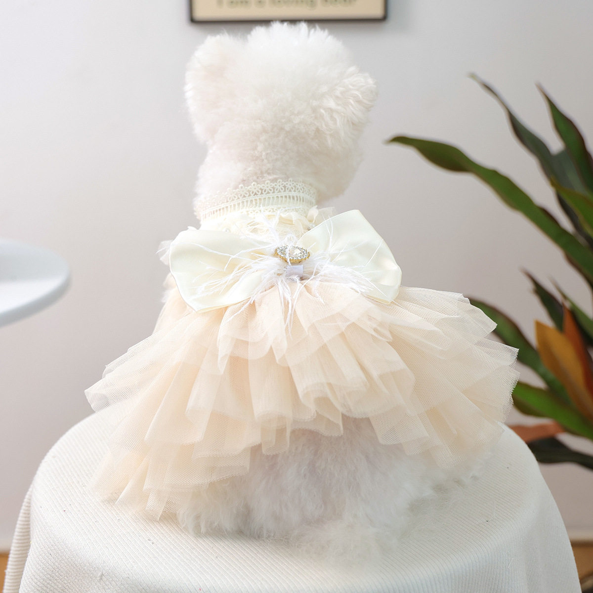 2026夏季新款宠物衣服小型犬博美泰迪蓬蓬纱裙缪斯婚纱狗狗裙子图片
