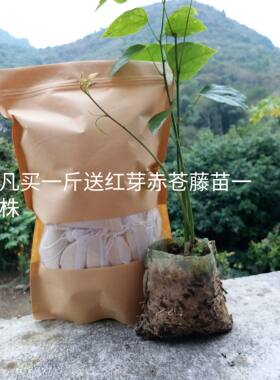 野生红芽赤苍藤茶 5A级景区的野生红芽老赤福音故事体委女士风衣