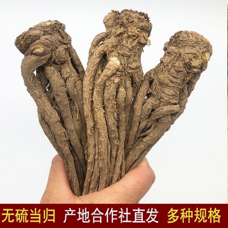 当归岷县全当归整根500克甘肃中药材野生特级正品党归片黄芪党参