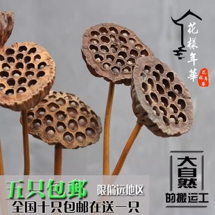 莲蓬干花真花风干天然真杆荷叶花束荷花莲藕客厅摆设禅意装饰摆件