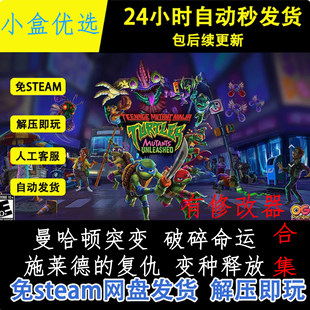 忍者神龟施莱德的复仇破碎命运曼哈顿突变 变种释放单机合集游戏