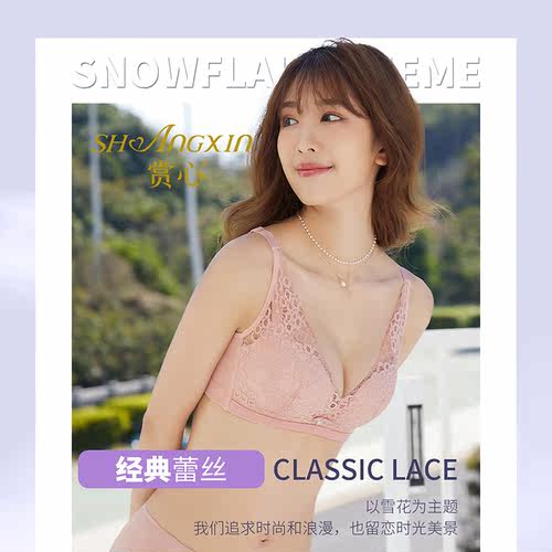 赏心无钢圈性感聚拢小胸文胸