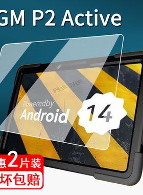 适用于AGM P2 Active平板贴膜10.95寸工业三防平板保护膜AGMP2电脑屏幕膜Active非钢化膜防刮书写类纸