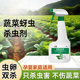 蔬菜蚜虫杀虫剂花卉植物杀虫药月季 花病虫害常用药非无毒花草除虫