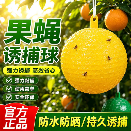 粘蝇球树柑橘诱蝇球果实蝇大小实蝇针锋菜园诱粘球果蝇球粘捕苍蝇